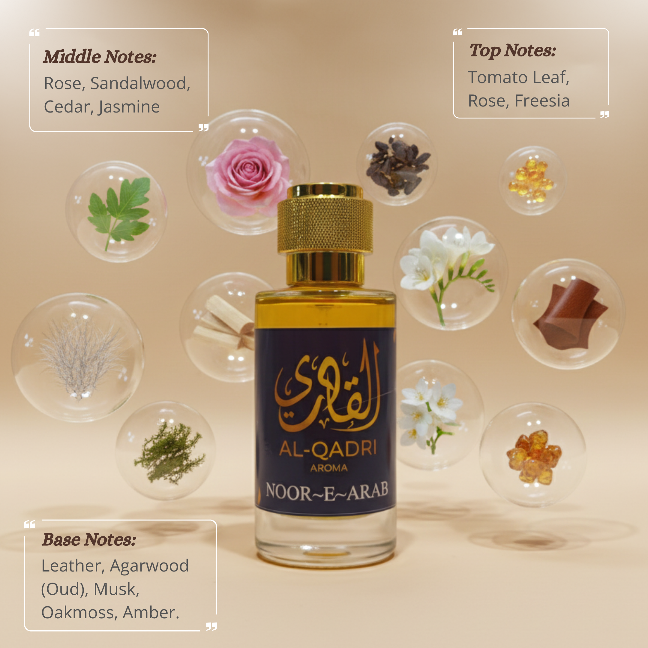 NOOR~E~ARAB (Inspired by Rasasi Shuhrah)